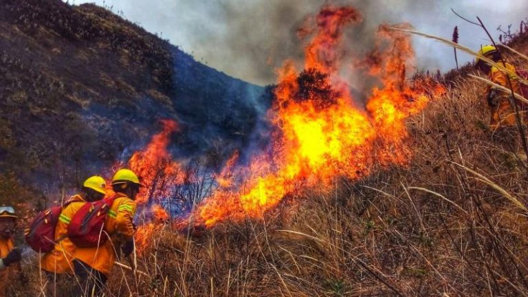 Incendio forestal continúa por segundo día en Machu Picchu y consume cerca de tres hectáreas de bosque